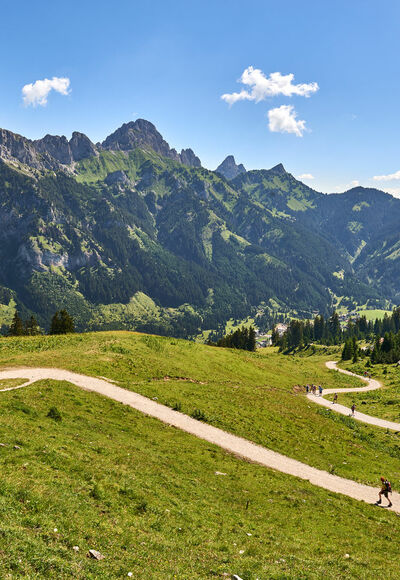 Forstweg nach Rauth