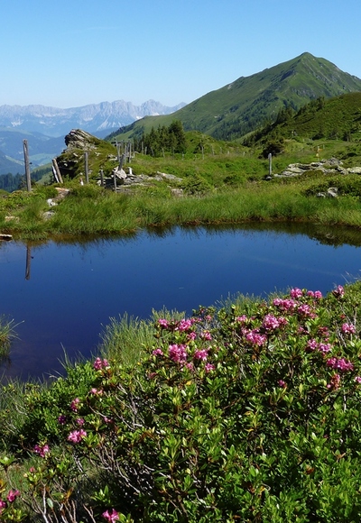 Etappe 3 führt an einem kleinen Moor vorbei