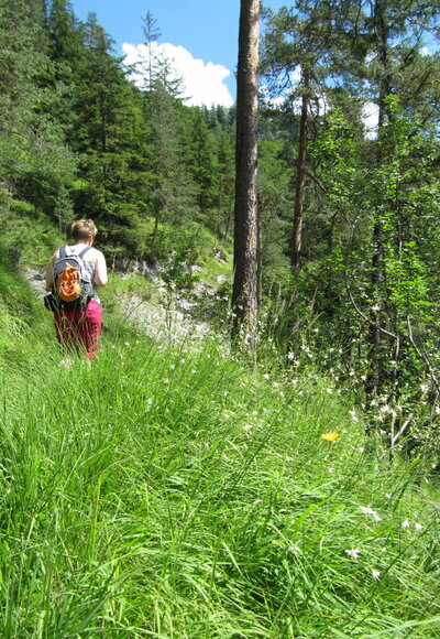 Grasenbergweg