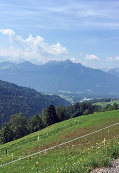 Über den Gaßnerberg hinauf zur Gaßner Alpe