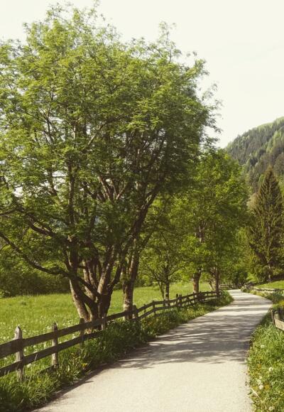 Rad- und Wanderweg