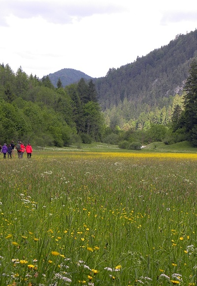 Leichte Wanderung durch das liebliche Veichltal