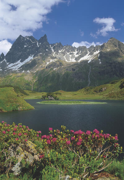 Langsee