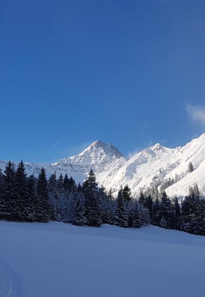 STart über die Wiese Richtung  Wildfütterung