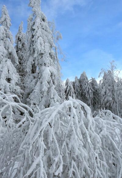 Grandiose Winterlandschaft ~860 m
