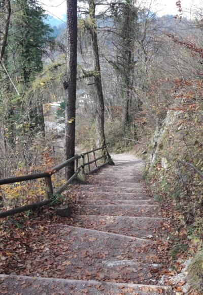 Die Stufen am Beginn der Wanderung. 285 davon gilt es zu erklimmen.