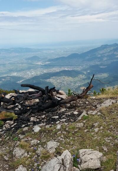 Ausblick vom Gipfel der Hohen Köpfe bis zum Bodensee.