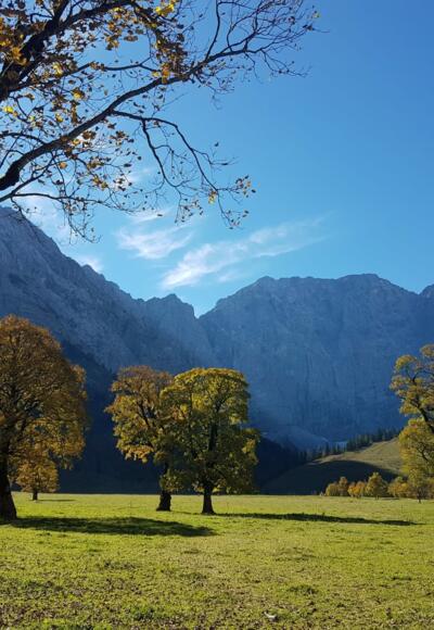 Großer Ahornboden