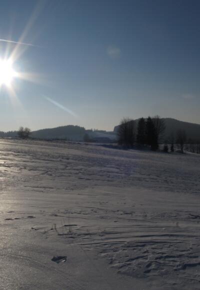 Langlaufen am Braunberg, ideal auch fürs Schneeschuhwandern