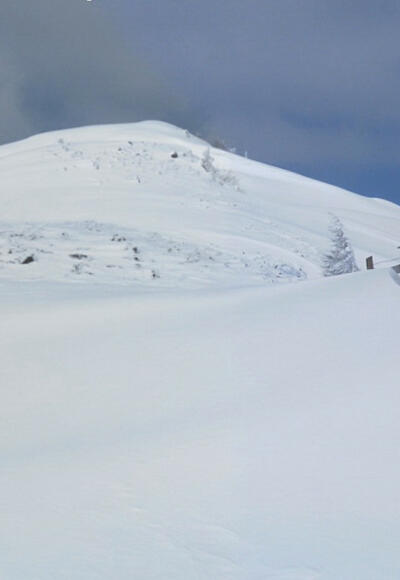 Ostrücken des Kleberkopfes vom Sattel aus