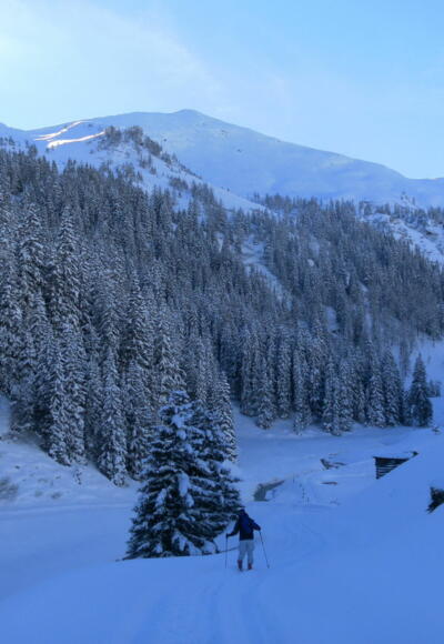 zentral der Kreuzkogel aus dem Toferergraben