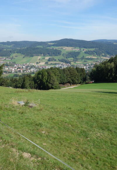 Blick auf St. Oswald bei Freistadt beim Aufstieg