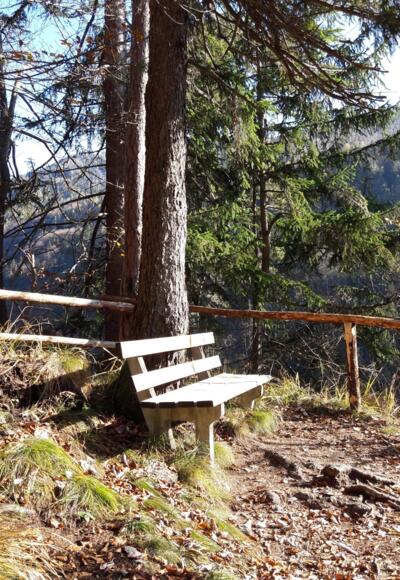Bank mit Aussicht