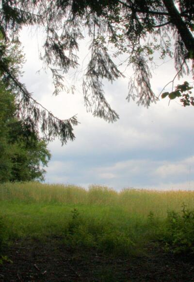 Weg ins Licht