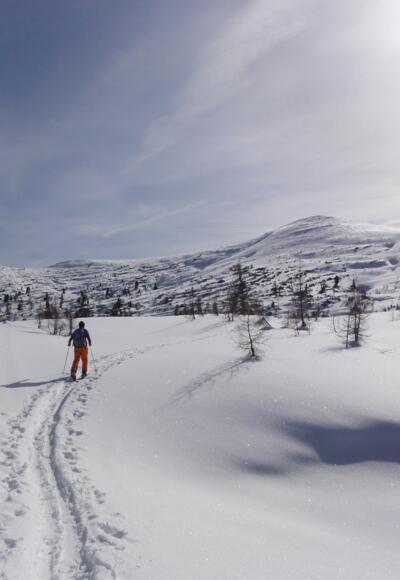 Angerkogel von der Angeralm
