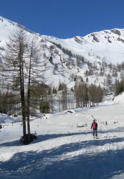 Lechneralm, links Plankowitzspitze, rechts Barleitenkopf