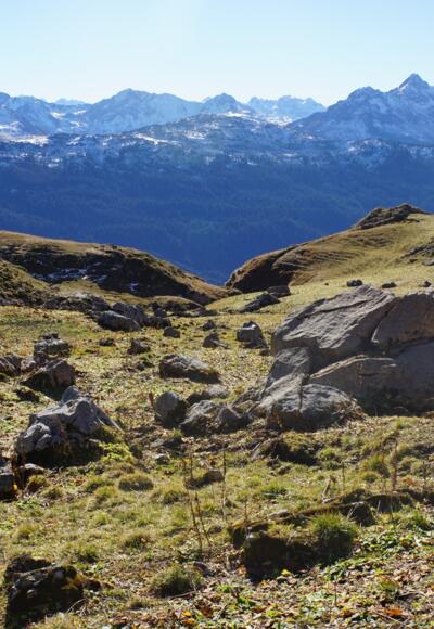 Kurz vor der Glongalpe wird es wieder flacher