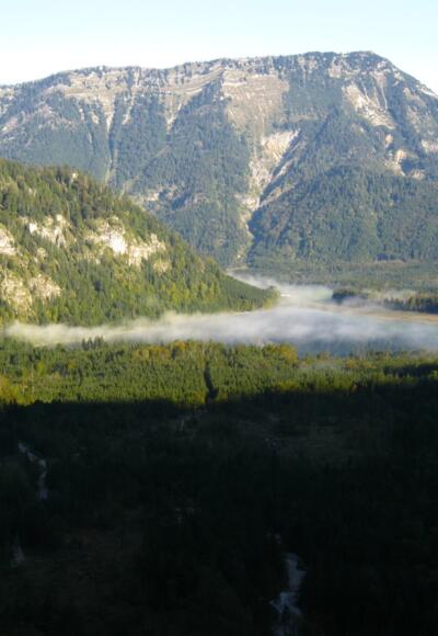 Der Offensee vom Aufstieg auf den Rinnerkogel betrachtet.