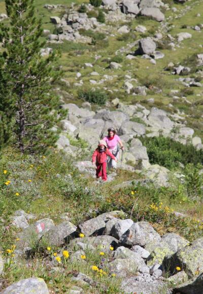 Weg durch Latschenkiefer aufwärts