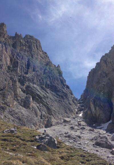 zurück zum Einstieg