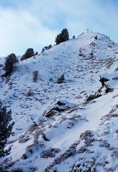 Blick von der Hubertusspitze auf den Grat oberhalb