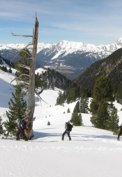 Aufstieg durchs Schartlestal entlang des Stamserbachs.