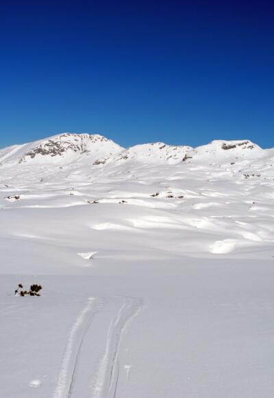Am Schwarzmoossattel sieht man die Weite des Toten Gebirges - die rechte der vier Erhebungen ist der Grießkogel.