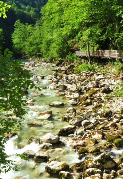 Buchensteig am Reichramingbach im Bereich des Wasserboden