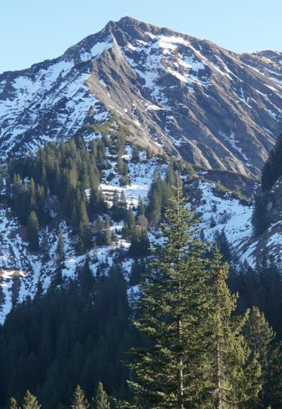 Blick zum hohen Freschen