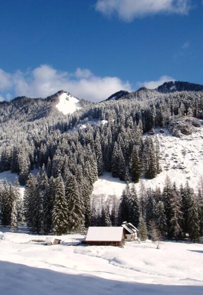 Hintersteiner Alm 1025m