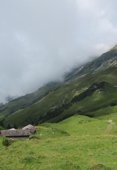 Bei der Hochschere (19. August 2013)