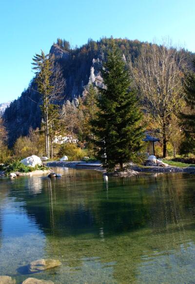 Poppenberg vom Teich 575m bei der Pension Prielkreuz gesehen.