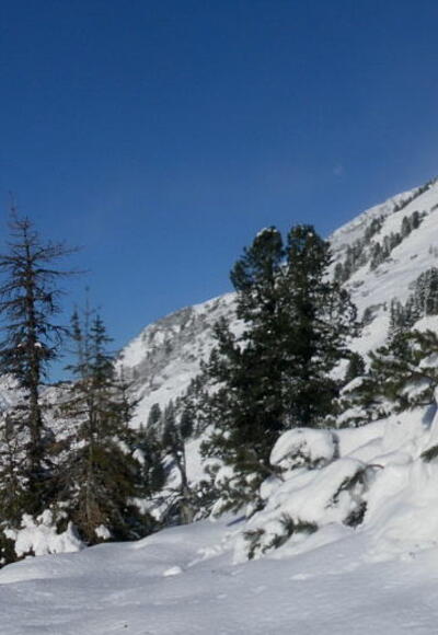 Zustieg zum Grünwaldkopf Südrücken mit Blick zum Seekareck. Links Windschaufel und Steinfeldspitze