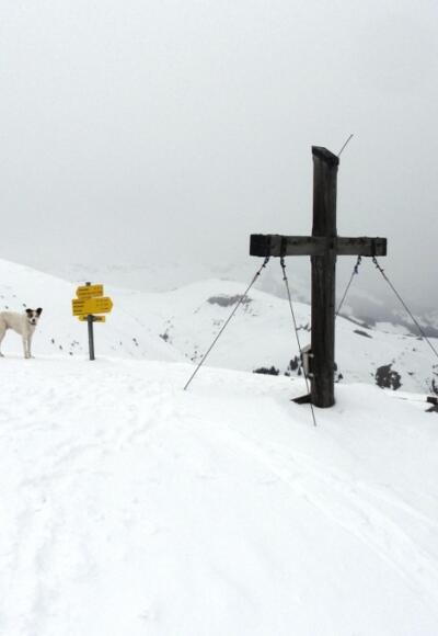 Am Gipfel angelangt ...