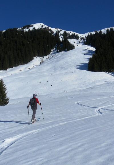 Schützkogel über der Luegeggalm