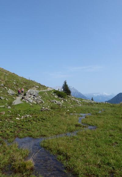 An der Wildalm zwischen Lärchfilzkogel und Wildseeloderhaus.