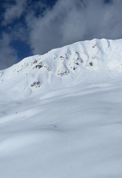 Mislkopf vom Hirschstein