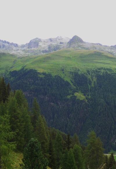 Oberhalb der Lappachalm, Blick von rechts auf Weißes Beil, Kauschkahorn, Seespitze