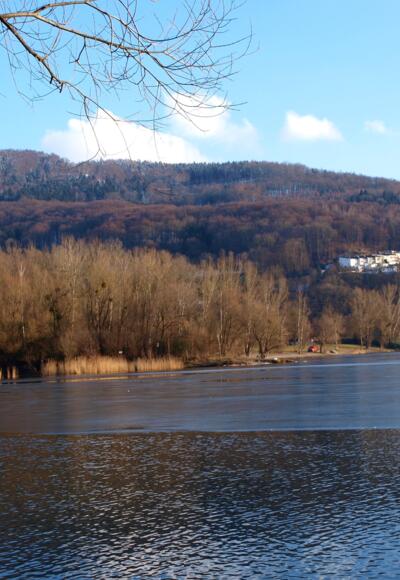 Am Pleschingersee ~260m