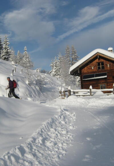 bei der Walchhofalm verläßt man den Güterweg