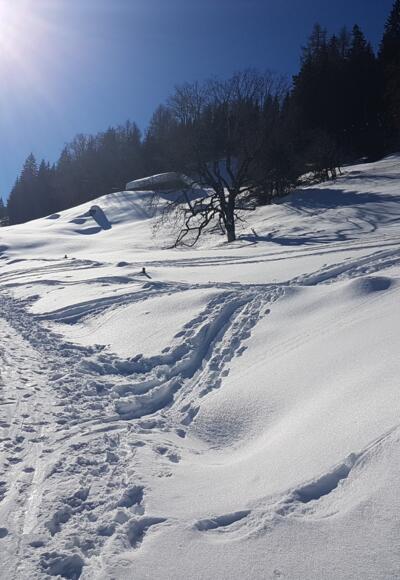 Winter vom Bilderbuch