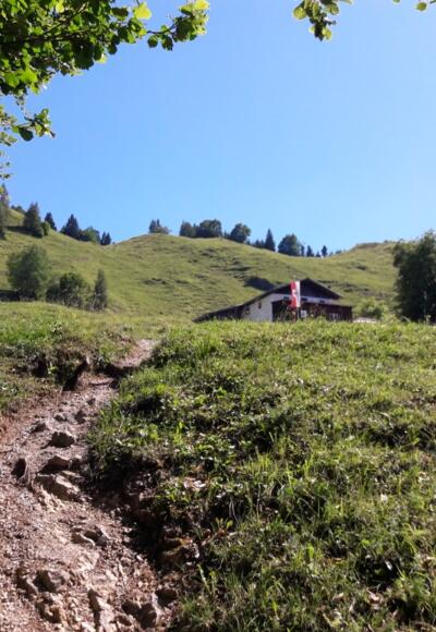 Kurz vor der Möslalm