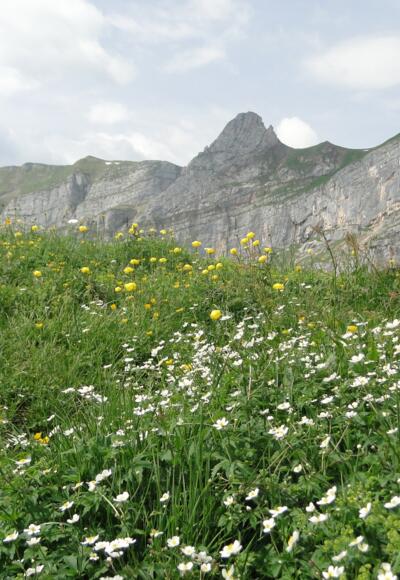 Vorderes Sonnwendjoch und Sagzahn von unten