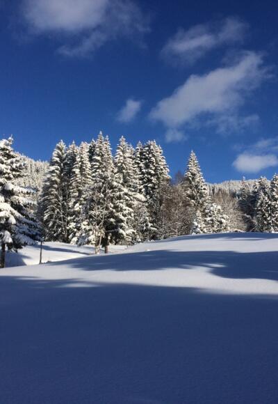 Nähe Ausstiegsstelle Stelzer