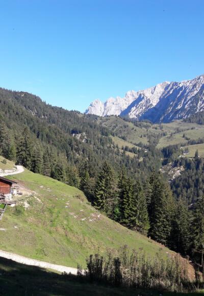 Abstieg zur Brentenjochalm