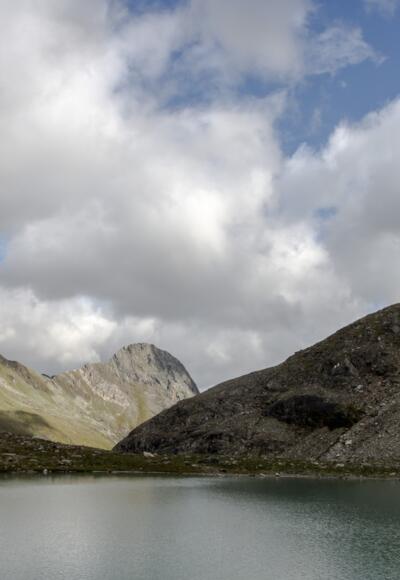 Simonysee