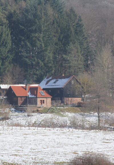 Sylvan im Weihersgrund 2