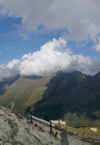 Gipfelpanorama Mairspitze
