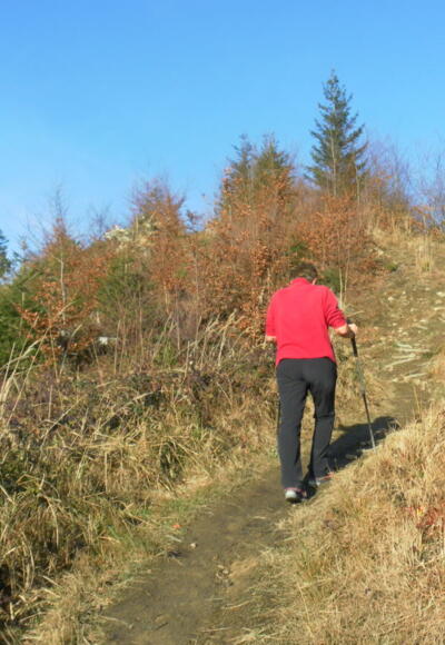 Gipfelrücken