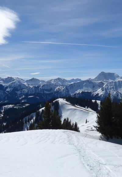 Blick vom Gipfel Richtung Süden
